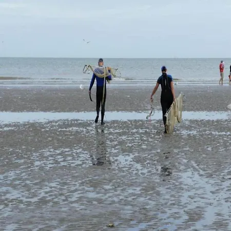 In Near Zeedijk, Cleaning Included * Koksijde